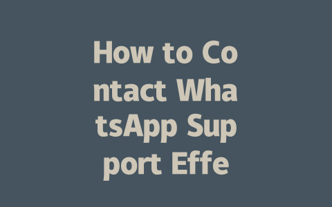 How to Contact WhatsApp Support Effectively in 2025 一