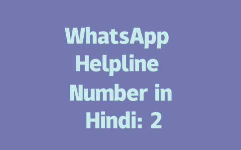 WhatsApp Helpline Number in Hindi: 24/7 Support 2025 Guide 一