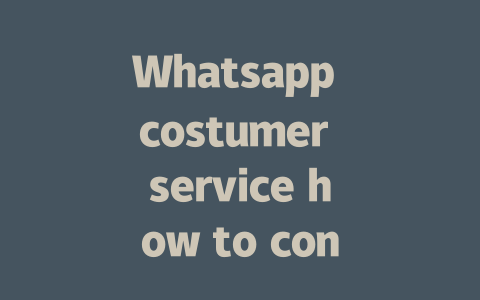 Whatsapp costumer service how to contact in 2025年 一