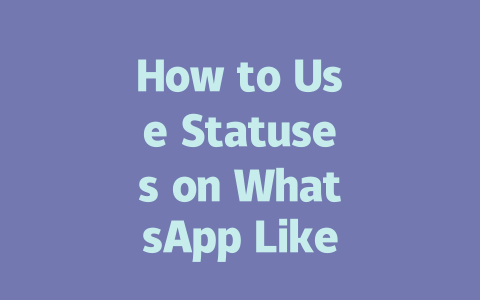 How to Use Statuses on WhatsApp Like a Pro in 2025 一