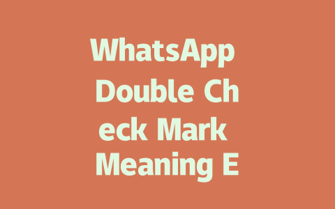 WhatsApp Double Check Mark Meaning Explained for 2025 Users 一