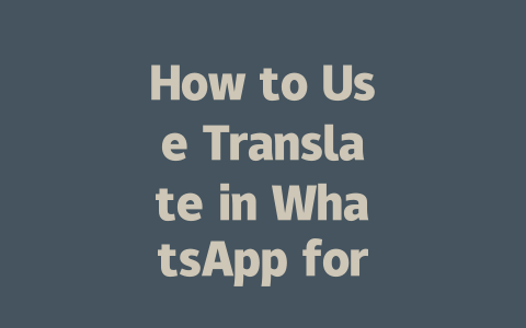 How to Use Translate in WhatsApp for Seamless Conversations 一