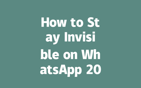 How to Stay Invisible on WhatsApp 2025 Guide 一