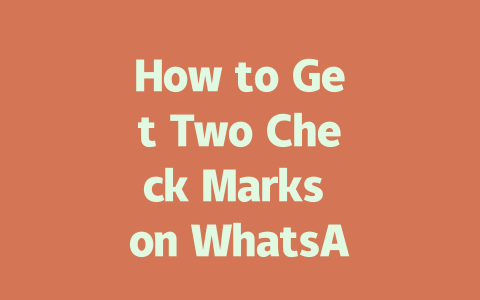How to Get Two Check Marks on WhatsApp 2025 Guide 一
