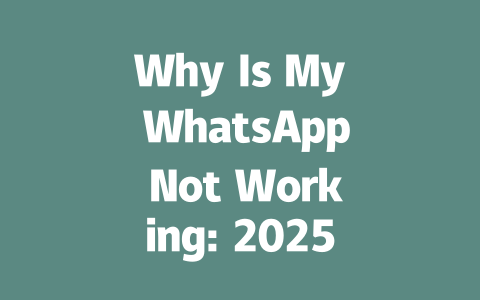 Why Is My WhatsApp Not Working: 2025 Troubleshooting Guide 一