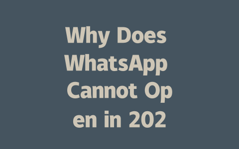 Why Does WhatsApp Cannot Open in 2025 Year 一