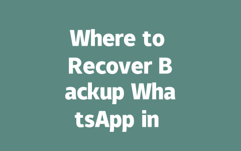 Where to Recover Backup WhatsApp in 2025 一