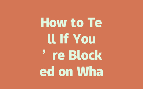 How to Tell If You’re Blocked on WhatsApp 2025 Guide 一