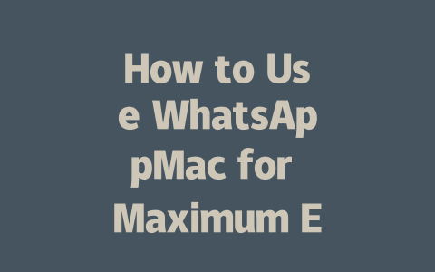 How to Use WhatsAppMac for Maximum Efficiency in 2025 一