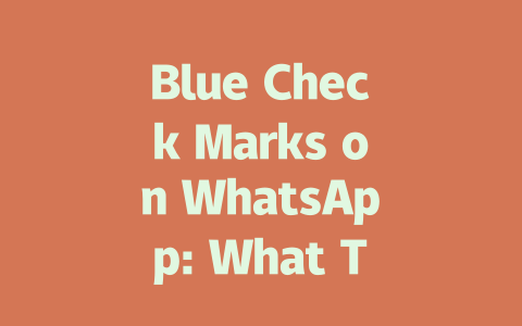 Blue Check Marks on WhatsApp: What They Mean 2025 一