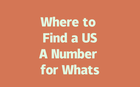 Where to Find a USA Number for WhatsApp in 2025 一
