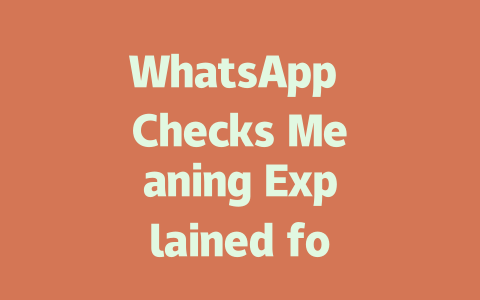 WhatsApp Checks Meaning Explained for 2025 Users 一