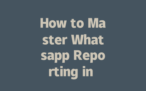 How to Master Whatsapp Reporting in 2025 Step-by-Step Guide 一