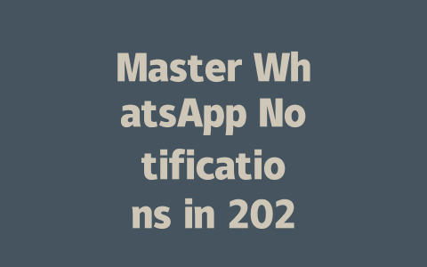 Master WhatsApp Notifications in 2025 Step by Step 一