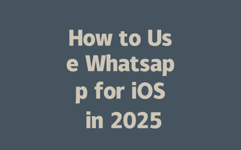 How to Use Whatsapp for iOS in 2025 一