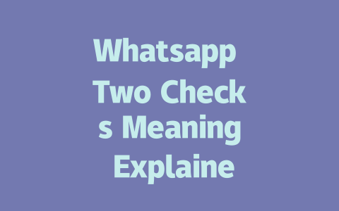 Whatsapp Two Checks Meaning Explained for 2025 Users 一