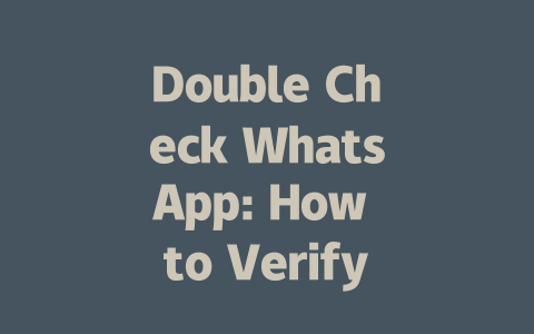Double Check WhatsApp: How to Verify Messages in 2025 一