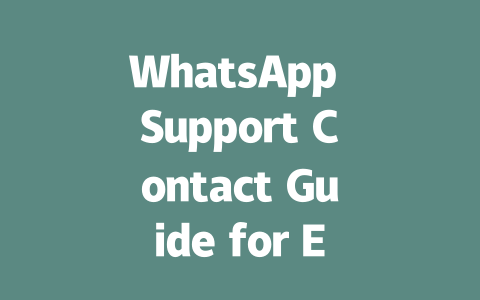 WhatsApp Support Contact Guide for Effective Assistance in 2025 一