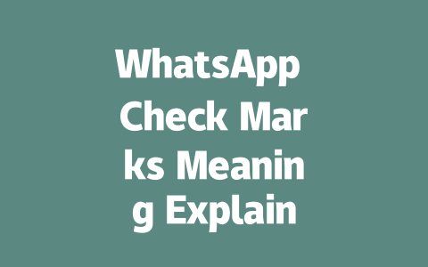 WhatsApp Check Marks Meaning Explained for 2025 Users 一