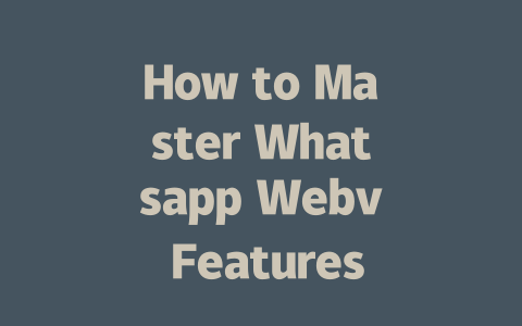 How to Master Whatsapp Webv Features in 2025 一