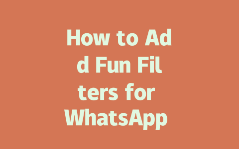 How to Add Fun Filters for WhatsApp Video Calls in 2025 一