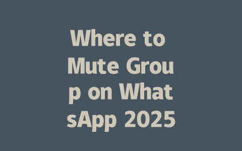 Where to Mute Group on WhatsApp 2025 Guide 一