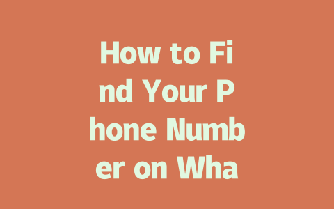 How to Find Your Phone Number on WhatsApp 2025 Guide 一