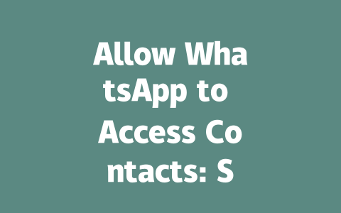 Allow WhatsApp to Access Contacts: Step-by-Step Guide for 2025 一