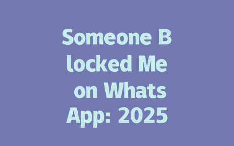 Someone Blocked Me on WhatsApp: 2025 Detection Methods 一