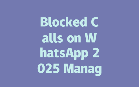 Blocked Calls on WhatsApp 2025 Manage with This Guide 一