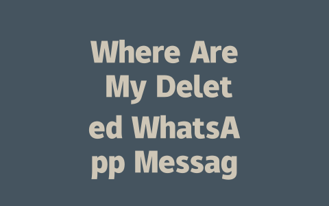 Where Are My Deleted WhatsApp Messages 2025 Guide 一