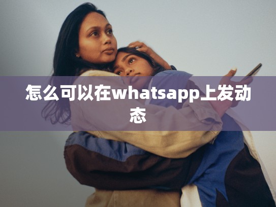 怎么可以在whatsapp上发动态