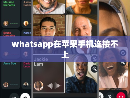 whatsapp在苹果手机连接不上