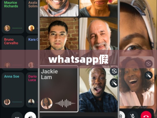 whatsapp假