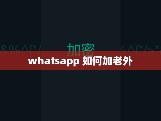 whatsapp 如何加老外