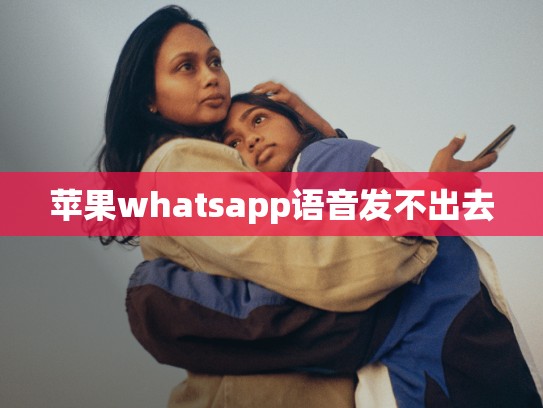 苹果whatsapp语音发不出去