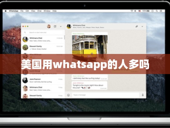 美国用whatsapp的人多吗