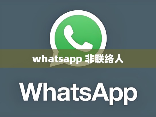 whatsapp 非联络人