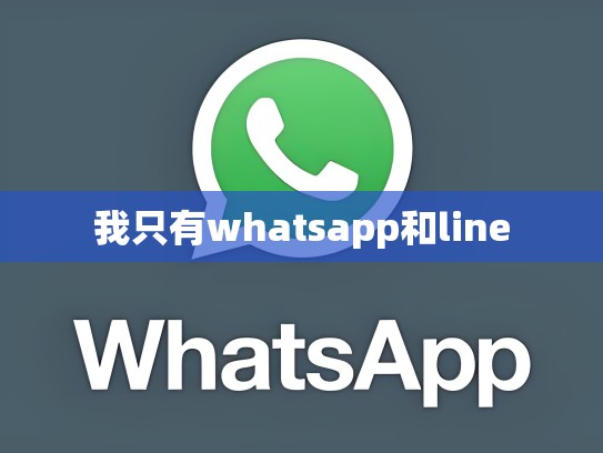 我只有whatsapp和line