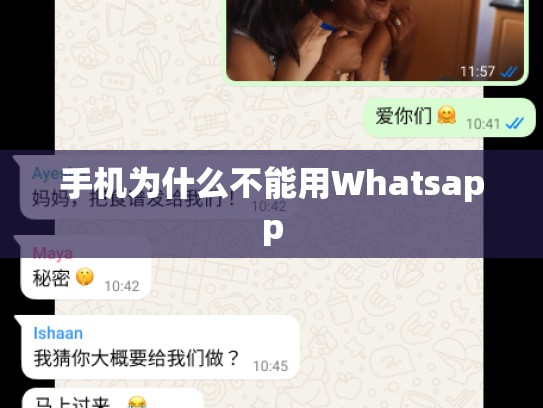 手机为什么不能用Whatsapp