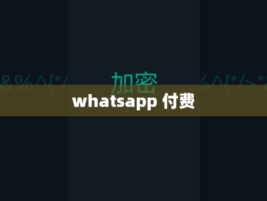 whatsapp 付费