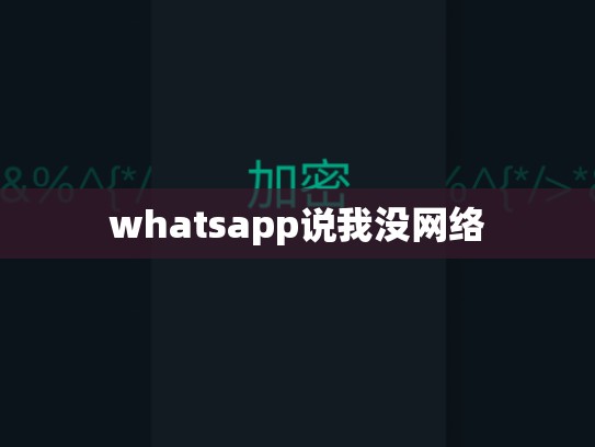 whatsapp说我没网络