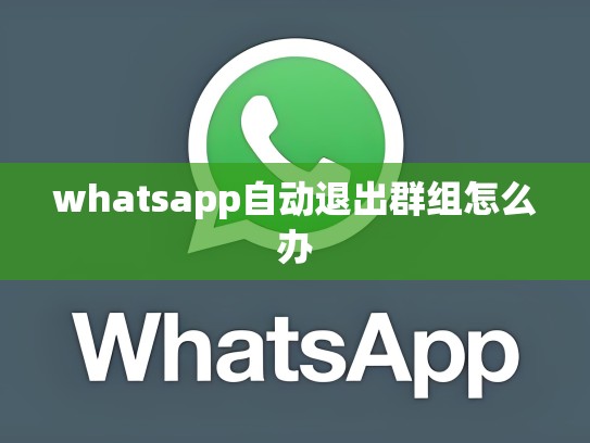 whatsapp自动退出群组怎么办