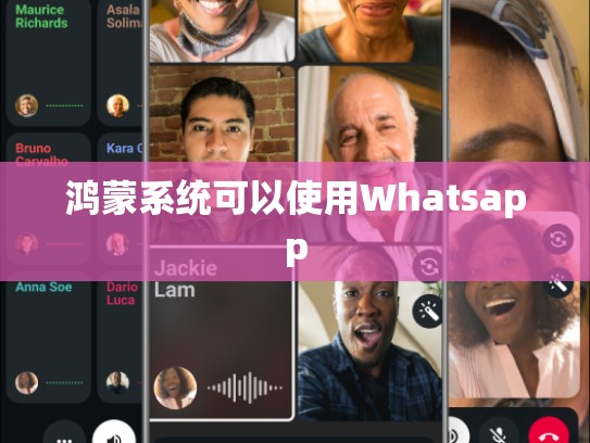 鸿蒙系统可以使用Whatsapp