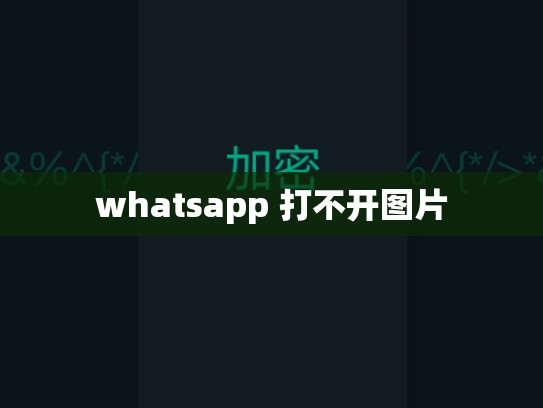 whatsapp 打不开图片