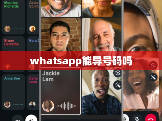 whatsapp能导号码吗