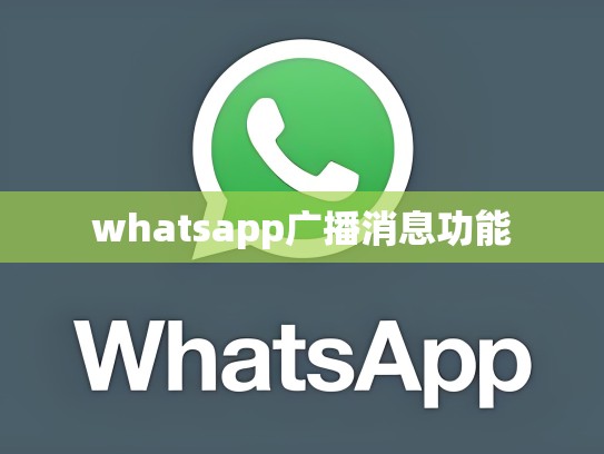 whatsapp广播消息功能