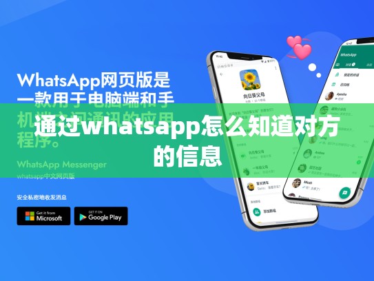 通过whatsapp怎么知道对方的信息