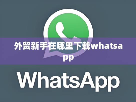 外贸新手在哪里下载whatsapp