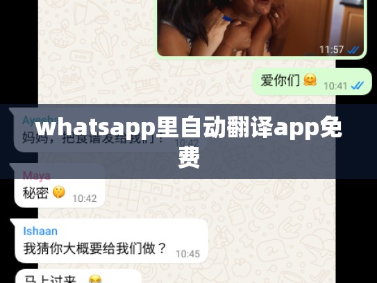 whatsapp里自动翻译app免费